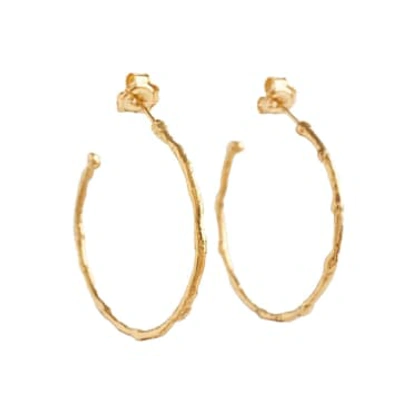 Shop April March Jewellery Large Textured Hoops Made From Fairmined Gold Vermeil