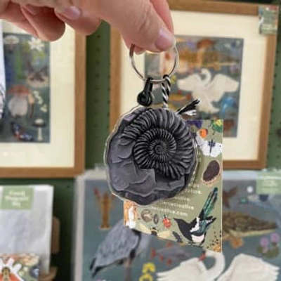 Shop Ferne Creative Ammonite Fossil Keychain, Eco Friendly Gift, Natural History
