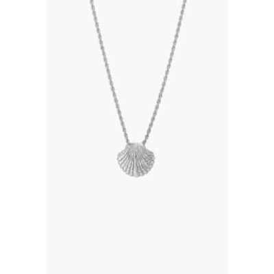 Shop Tutti & Co Ne697s Shell Necklace Silver In Metallic