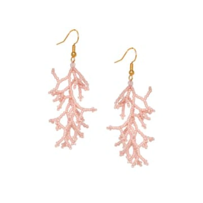 Shop Mishky Jewellery Coralia Earrings In Pink