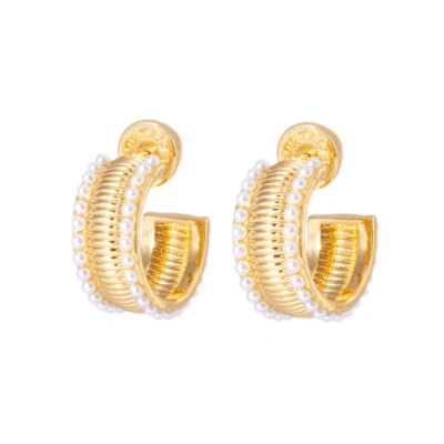 Shop Talis Chains Manhattan Flat Hoop Earrings In Gold