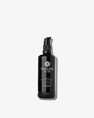 Shop Violets Are Blue Gentle Cleanser With White Tea And Carrot Seed