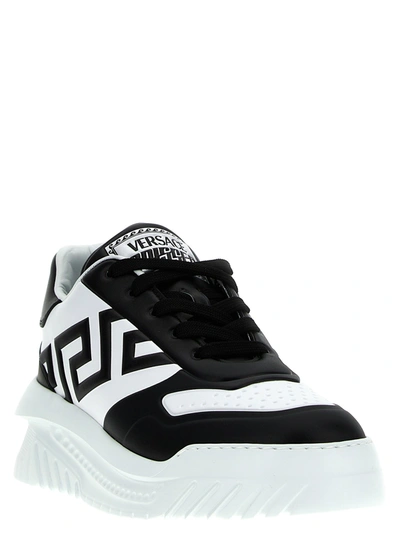 Shop Versace Odissea Greca Sneakers White/black