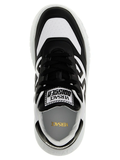 Shop Versace Odissea Greca Sneakers White/black