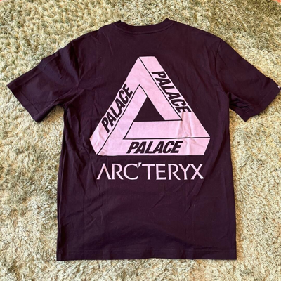 Pre-owned Palace Arc'teryx  Collaboration T-shirt L Size 2307m In Black