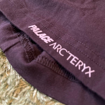 Pre-owned Palace Arc'teryx  Collaboration T-shirt L Size 2307m In Black
