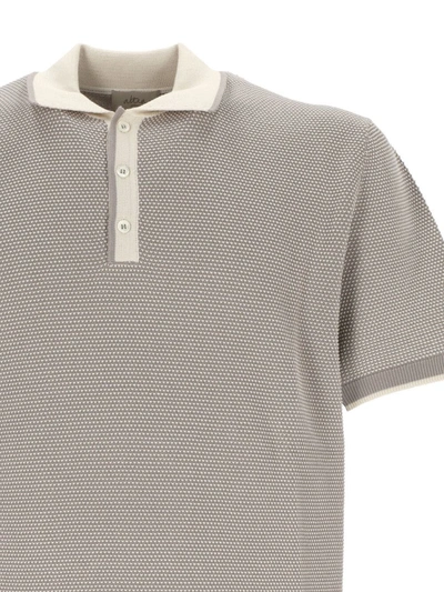 Shop Altea T-shirts And Polos In Light Grey