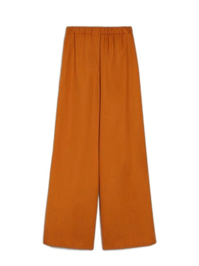 Shop Max Mara Pants In Orange