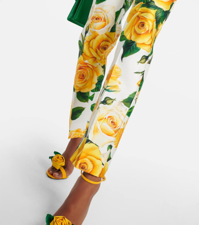 Dolce & Gabbana Floral High-rise Cotton Cropped Pants In Multicoloured