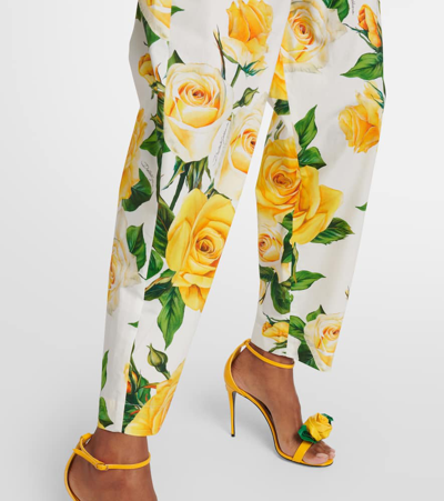 Dolce & Gabbana Floral High-rise Cotton Cropped Pants In Rose Gialle Fdo Bco