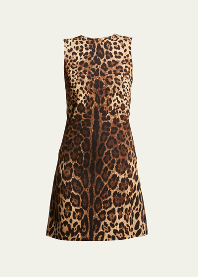 Shop Dolce & Gabbana Leopard-print Shift Dress