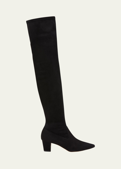 Shop Manolo Blahnik Lupasca Suede Over-the-knee Boots