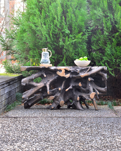 The Phillips Collection Bronze Cast Root Teak Outdoor Console Table In Bronze