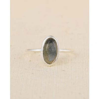 Shop Muja Juma Ring Silver Bree Labradorite Size 56 In Metallic