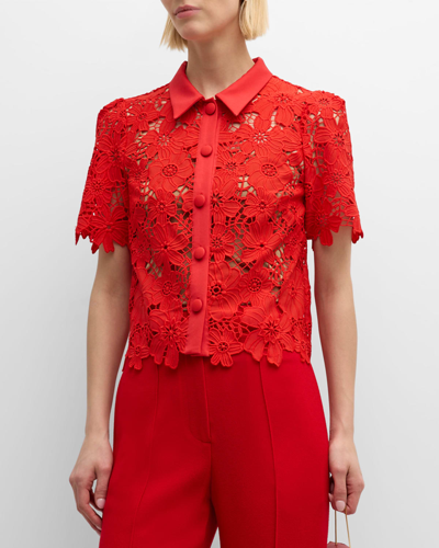 Shop Milly Addison Roja Cropped Floral Lace Top In Red