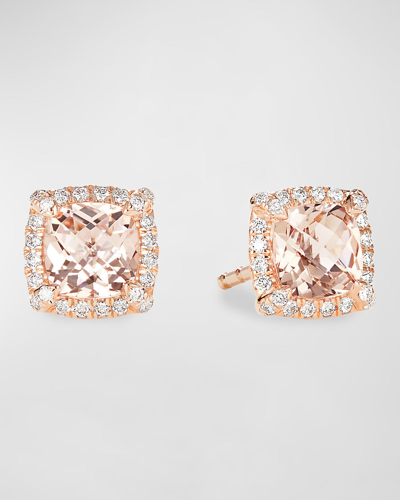 Shop David Yurman Petite Chatelaine Pave Bezel Stud Earrings In 18k Rose Gold With Morganite In 25 Pink