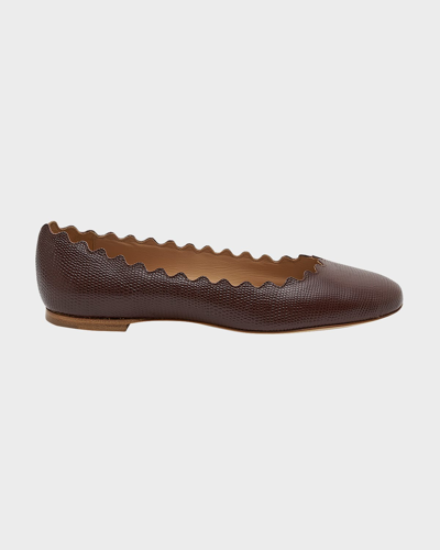 Shop Chloé Lauren Scalloped Leather Ballerina Flats In Brunet Brown