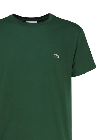 Shop Lacoste Green T-shirt In Cotton Jersey