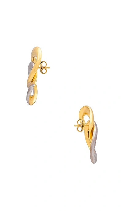 Shop Aureum Blair Earrings In 双色