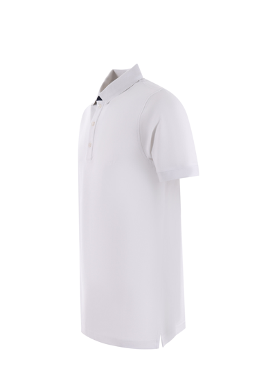 Fay Bicolor Db Collar Polo