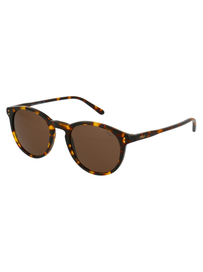Shop Polo Ralph Lauren Sunglasses In 513473 Havana