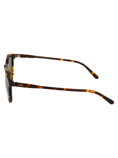 Shop Polo Ralph Lauren Sunglasses In 513473 Havana