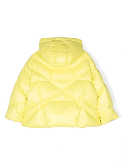 Shop Khrisjoy Coats Yellow