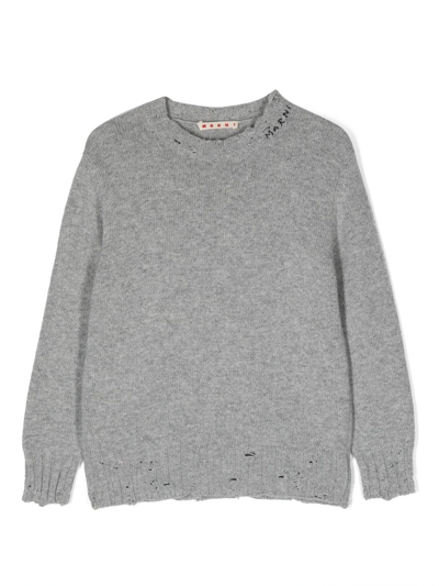 Shop Marni Sweaters Grey