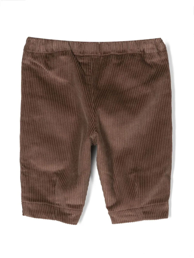 Shop Bobo Choses Trousers Brown
