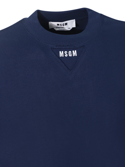 Msgm Sweatshirt In Blue