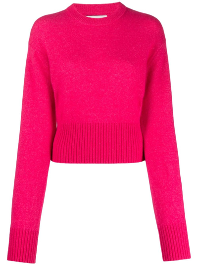 Shop Laneus Sweaters Fuchsia