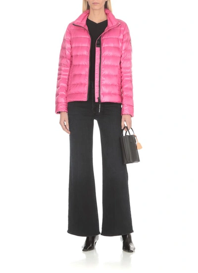 Shop Canada Goose Cypress Jacket In Pink