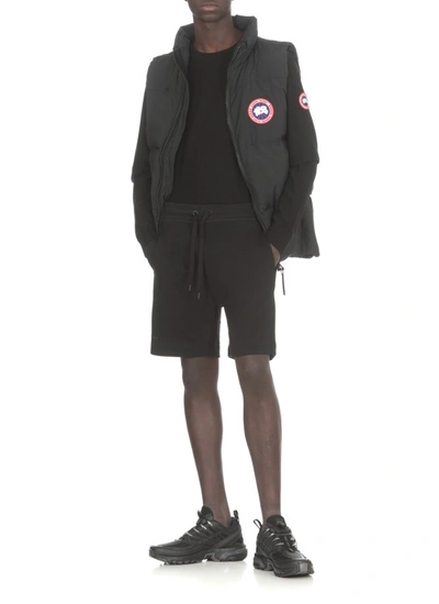 Shop Canada Goose Black Padded And Quilted Husky