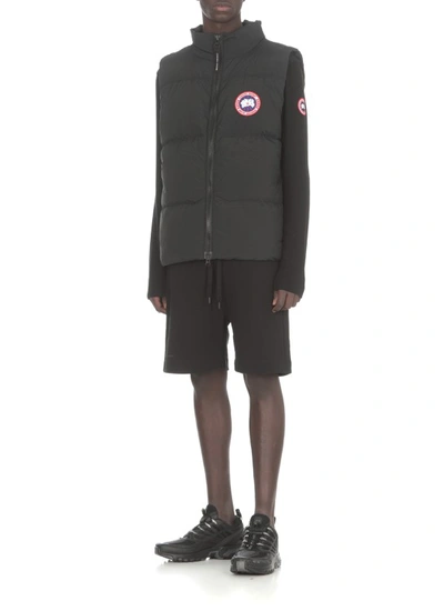 Shop Canada Goose Black Padded And Quilted Husky