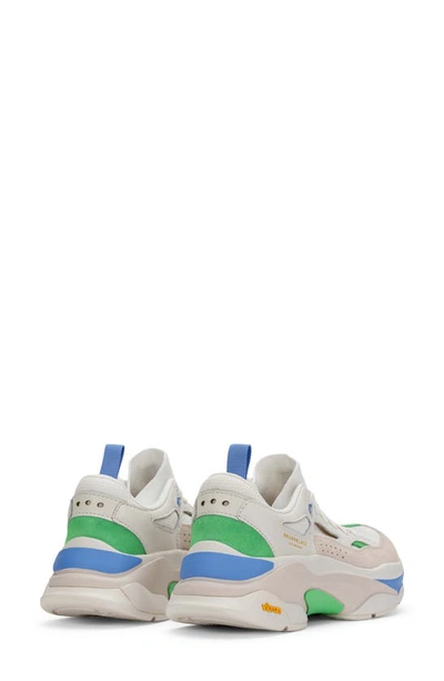 Shop Brandblack Saga Sneaker In White Green Royal Blue