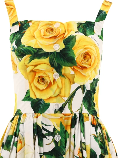 Shop Dolce & Gabbana Rose Print Midi Dress