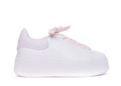 Shop Ash Sneakers In White/bubble Gum