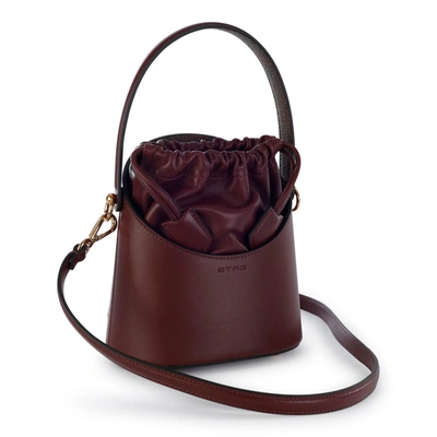 Shop Etro Small 'saturno' Burgundy Leather Bag In Bordeaux