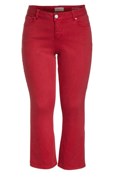 Shop Slink Jeans High Waist Ankle Bootcut Jeans In Chili Pepper