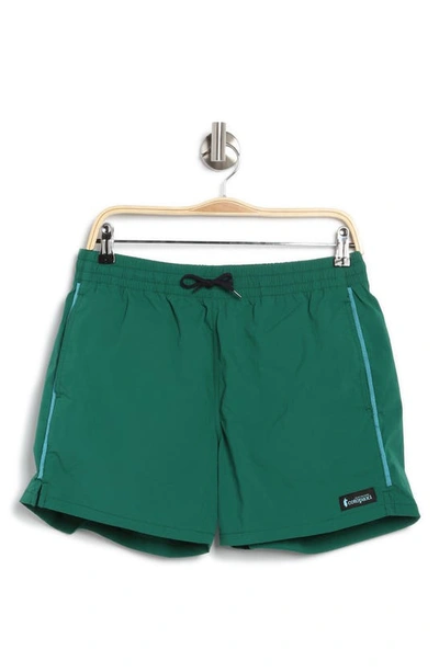 Shop Cotopaxi Brinco Active Shorts In Greenery