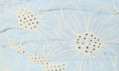 Petal And Pup Taila Eyelet Embroidered Halter Neck Cotton Maxi Dress In Blue Floral