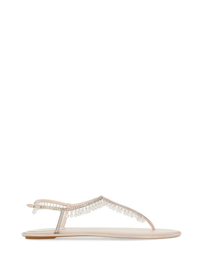 Shop René Caovilla "chandelier" Low Sandal In Pink