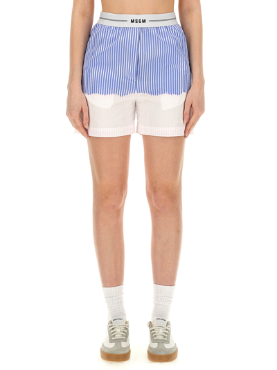 Msgm Logo Band Striped Shorts In Baby Blue