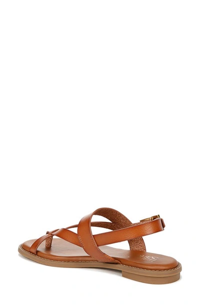 Franco Sarto Gabby Sandal In Cognac