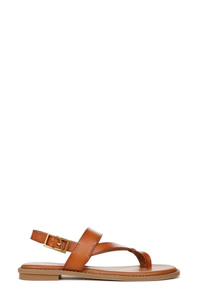 Franco Sarto Gabby Sandal In Cognac
