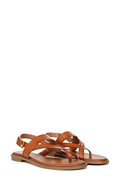 Franco Sarto Gabby Sandal In Cognac