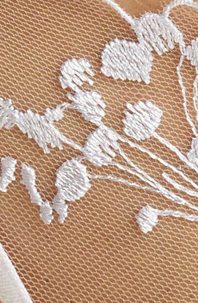 Shop Bluebella Marisa Embroidered Mesh Thong In White/ Sheer