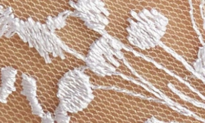 Bluebella Marisa Embroidered Mesh Thong In White/ Sheer