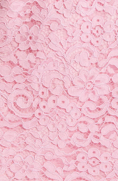 Shop Tahari Asl Short Sleeve Lace A-line Dress In Pink Macaroon