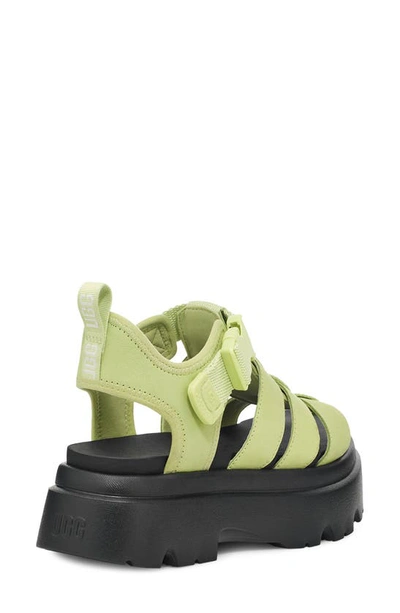 Shop Ugg Cora Platform Sandal In Caterpillar